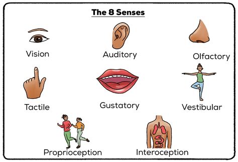 sanses|anse definition.